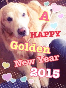 a happy golden new year!